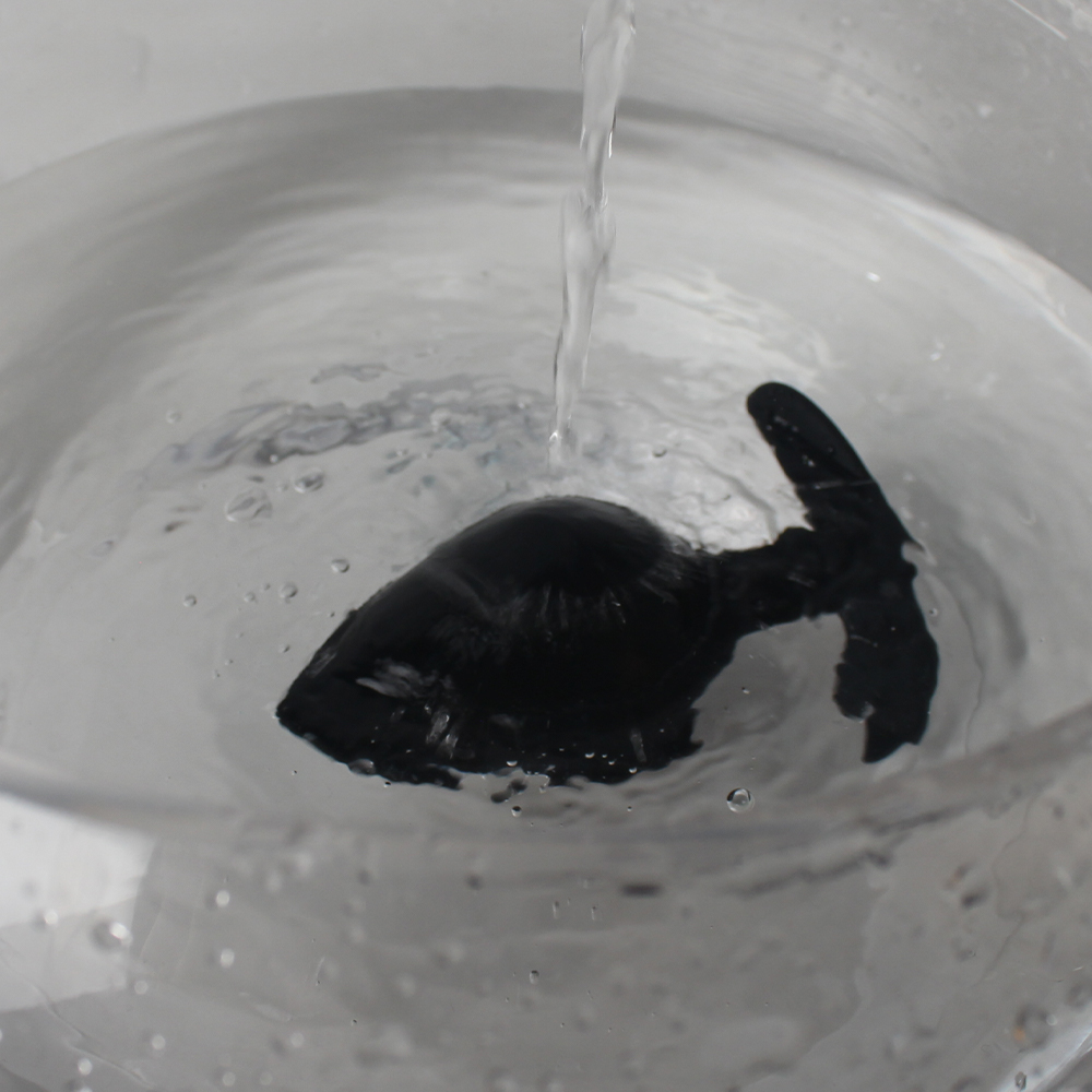 Siliconen anaalplugset